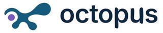 Octopus Outsourcing